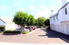 Crazy Japanese slut Haley Cummings in Incredible big natural tits