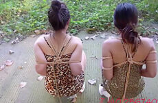 Chinese Call Girl Arrest