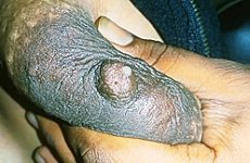 Marwadi Rajasthani Bhabhi Ki First Time Outdoor